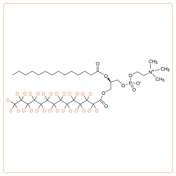 1-d27-DMPC