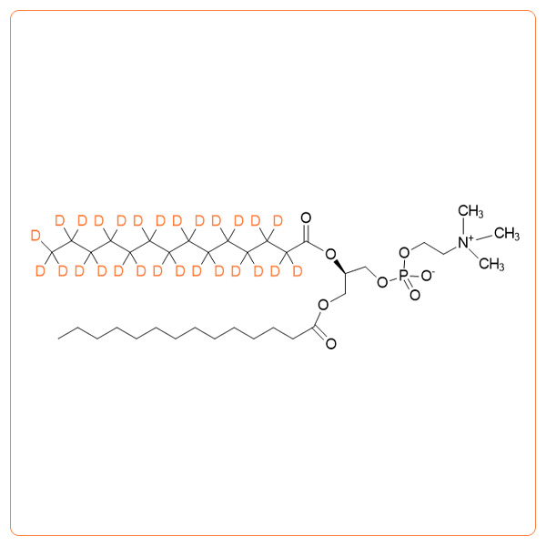 2-d27-DMPC