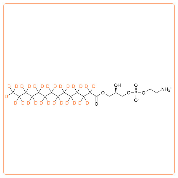 LMPE-d27