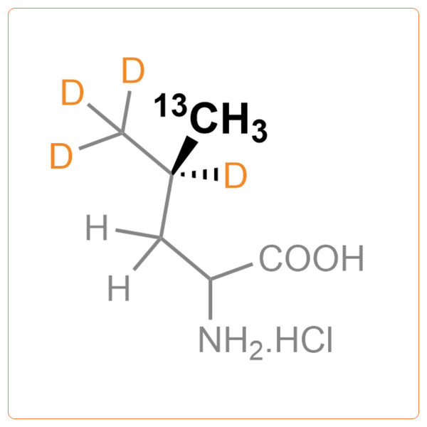 Pro-S-13CH3-d4-Leucine.HCl