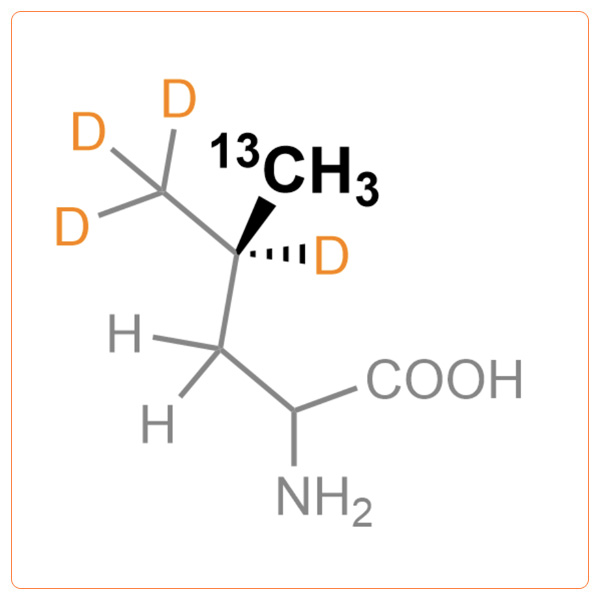 Pro-S-13CH3-d4-Leucine