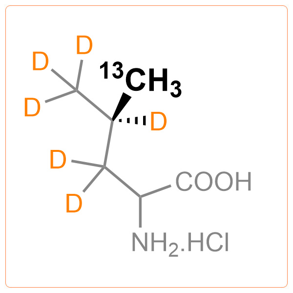 Pro-S-13CH3-d6-Leucine.HCl