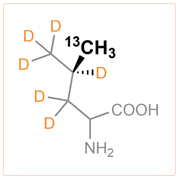 Pro-S-13CH3-d6-Leucine