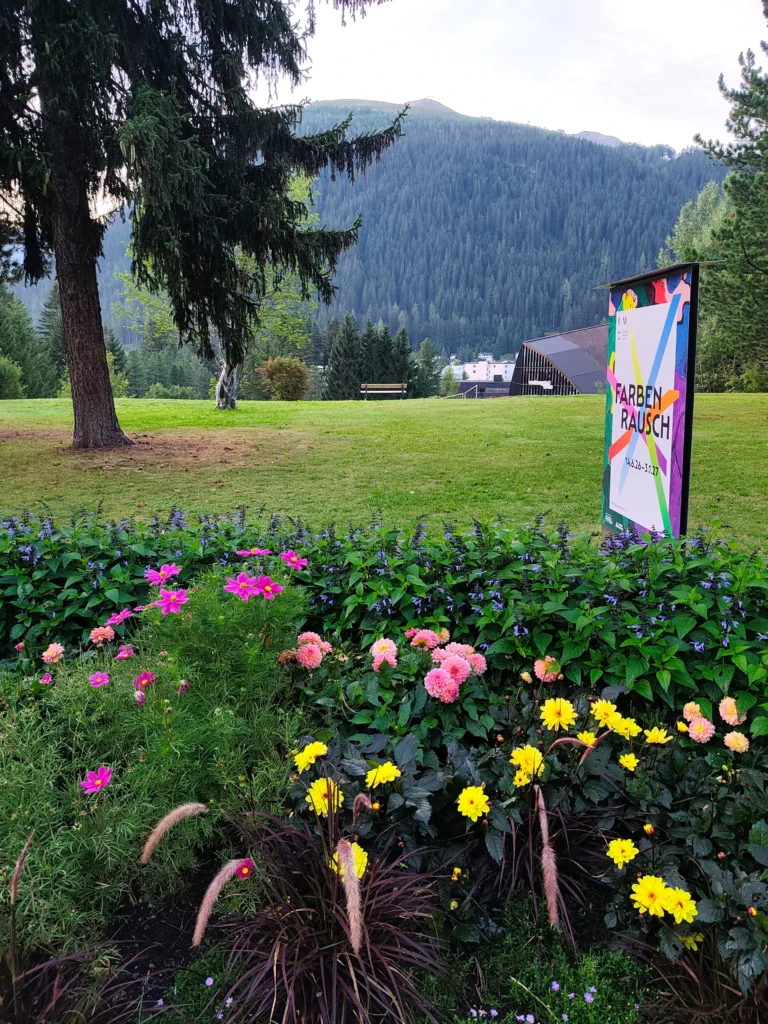 IMG_20260824_064837 (1)
